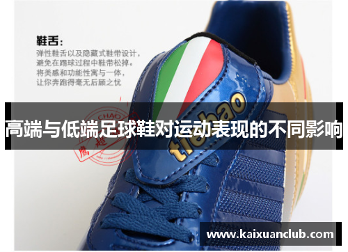 高端与低端足球鞋对运动表现的不同影响